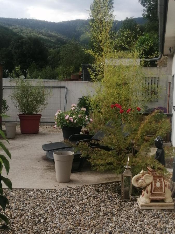 Bed and Breakfast L'Ecrin Des Biches Sainte-Marie-aux-Mines Exteriér fotografie